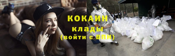 молекула духа Михайловск