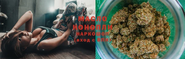 молекула духа Михайловск