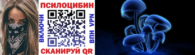 Псилоцибиновые грибы MAGIC MUSHROOMS  цена наркотик  ссылка на мегу ONION  Кизляр 