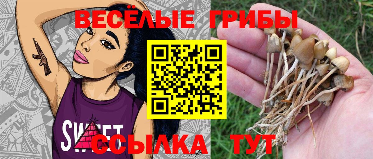 Галлюциногенные грибы Magic Shrooms Кизляр